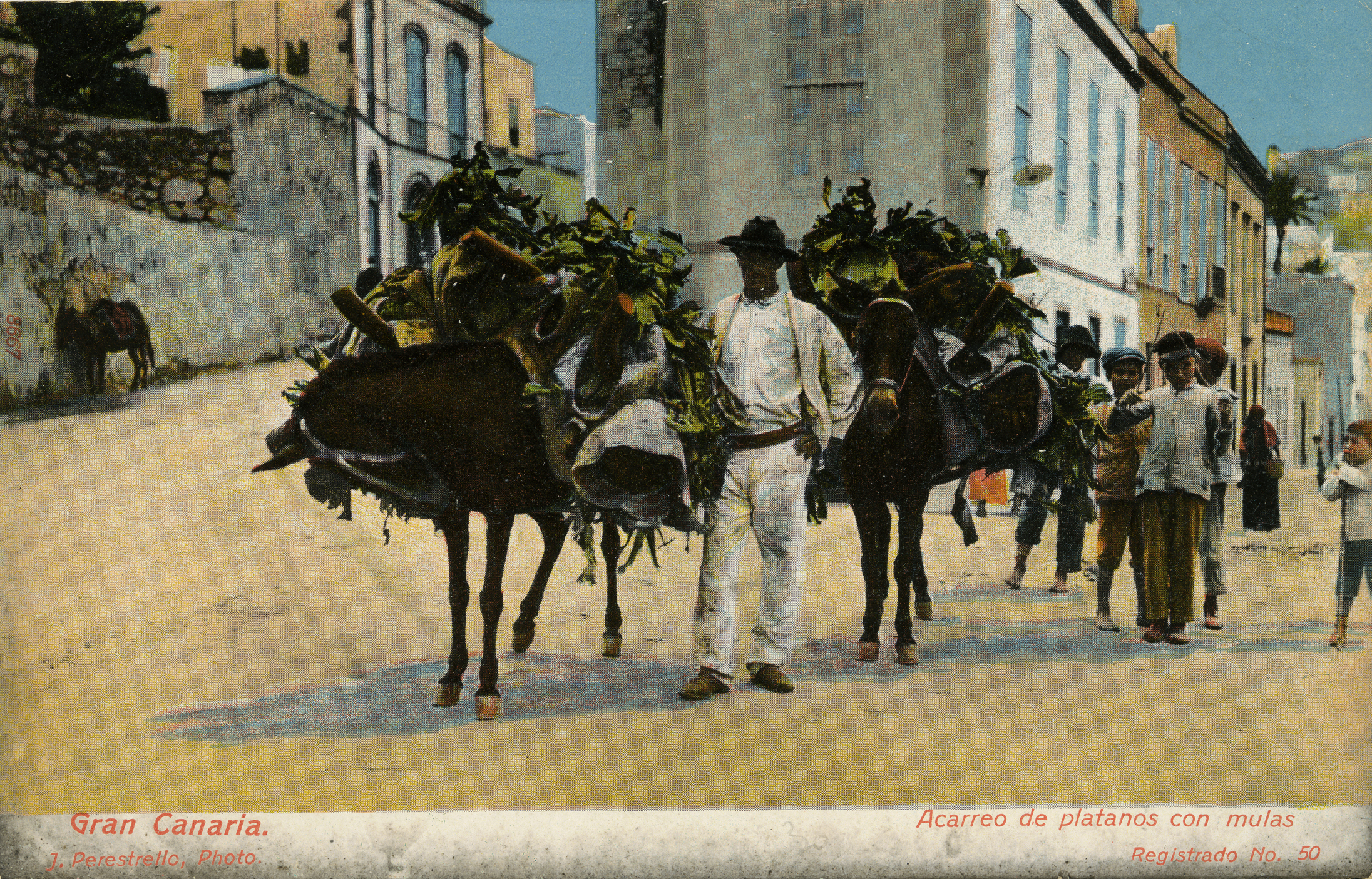 La historia en fotos de los seis riscos de la capital grancanaria protagoniza la exposición ‘Risqueando’ en San Nicolás