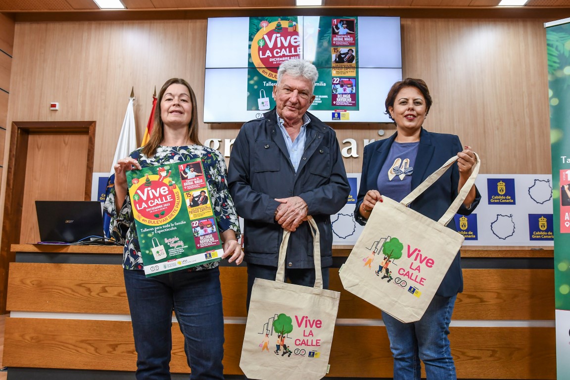 Siete Palmas ofrecerá talleres y actuaciones para toda la familia en la campaña navideña ‘Vive la calle’